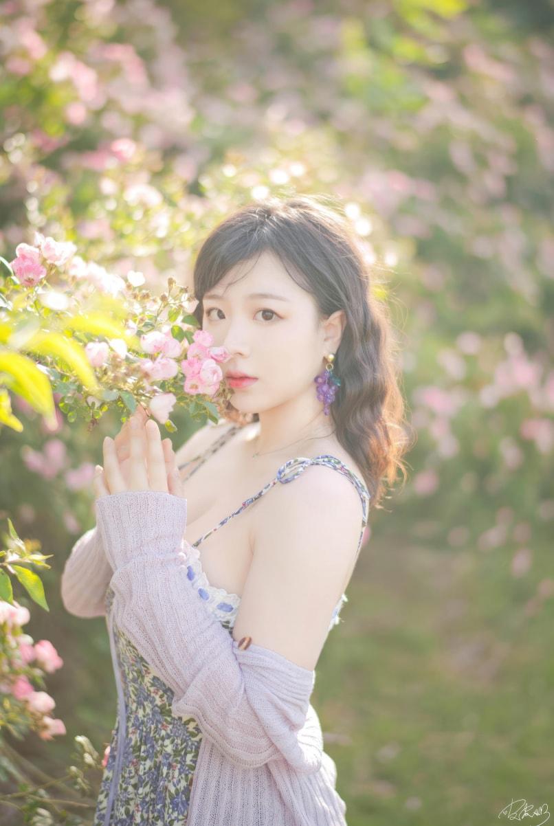 皮皮奶可可爱了啦 蔷薇花-作品推荐